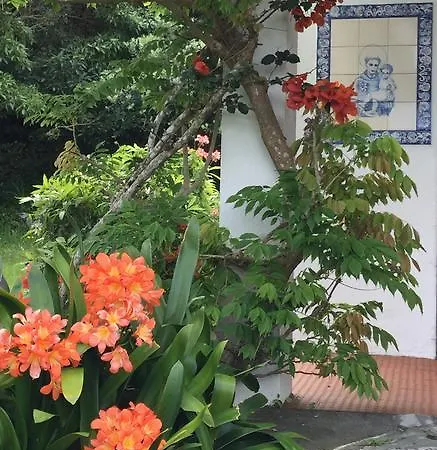 Casa Do Areal * São Roque do Pico